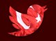 Twitter is back in Turkey