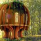 A dream home for all