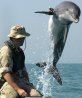 No more military dolphins for Ukraine