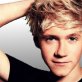 Niall Horan jokes he'd rather sleep
