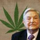 Billionaire spends millions on marijuana legalization