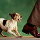 The truth about dog aggressiveness