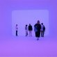 'Illusion of light' at Venice