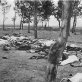 Erdogan: Condolences for the Armenian genocide
