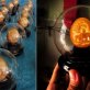 Eggshell masterpieces
