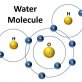 Water has memory