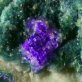 New unique mineral discovered
