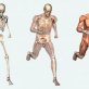 9 crazy human body facts