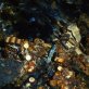 Shipwreck gold hunt for $86m