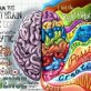 Are you right-brained or left-brained?