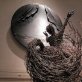 Metal wire art