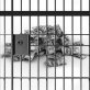 Swiss government freezes Ukrainian assets