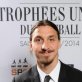 Ligue 1 player of the year: Zlatan Ibrahimovic 