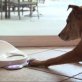 CleverPet: the console designed for dogs