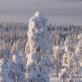 Finland: the place to be in the cold season 