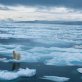 Antarctic ice begins irreversible meltdown