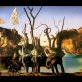 Two Salvador Dali paintings identified 