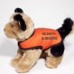 9/11 gift shop sparks outrage
