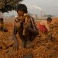 Forced labor generates over €100 billion anually