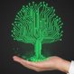 Plant language about to be deciphered 