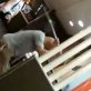 Cult murders woman in McDonald's restaurant