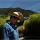 Mexico deforestation, the smart way