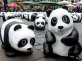 1,600 pandas flash mob big cities