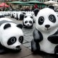 1,600 pandas flash mob big cities