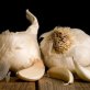 Garlic explained by scientists