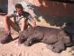 Baby rhino afraid to sleep alone after mom poached for horn