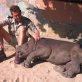 Baby rhino afraid to sleep alone after mom poached for horn
