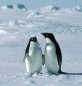 Technology at a South Pole research station