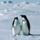 Technology at a South Pole research station
