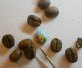Tiny paintings on small food