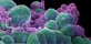 Study: cancer will never disappear