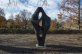 Seven millions for 'Figure for Landscape'