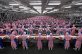Work plus stress kills 600k Chinese yearly