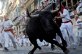 Famous Pamplona bull run festival begins
