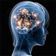 Scientists laugh at the 10% brain capacity myth