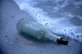 Oldest message in a bottle auctioned on eBay