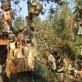 Most Unusual Travel Destinations