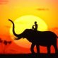 Top 5 African destinations