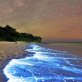 The most beautiful beach in the world